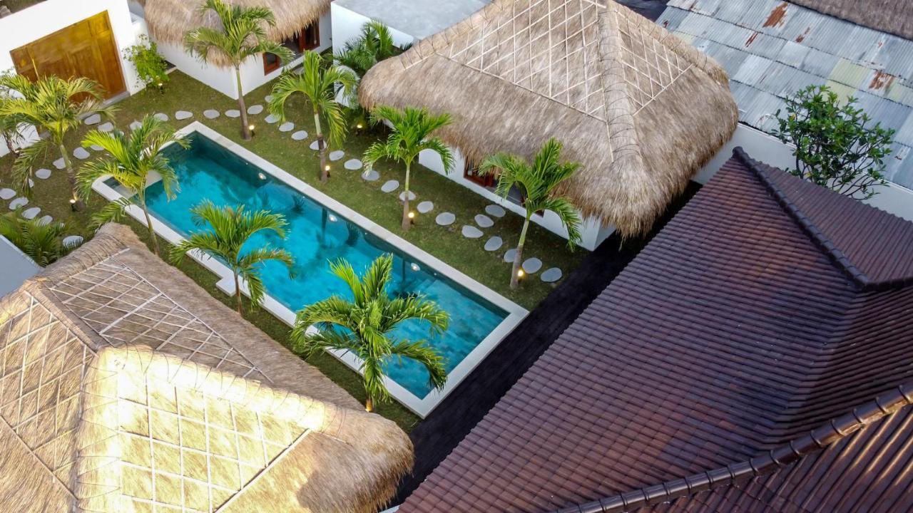 Cocotier By Alfred In Bali